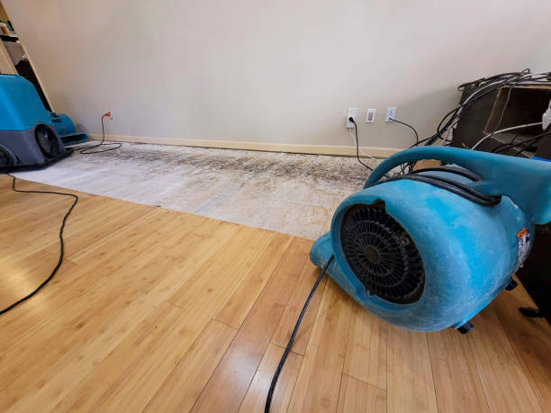 Professional Water Damage Repair technician working in Taneytown, MD